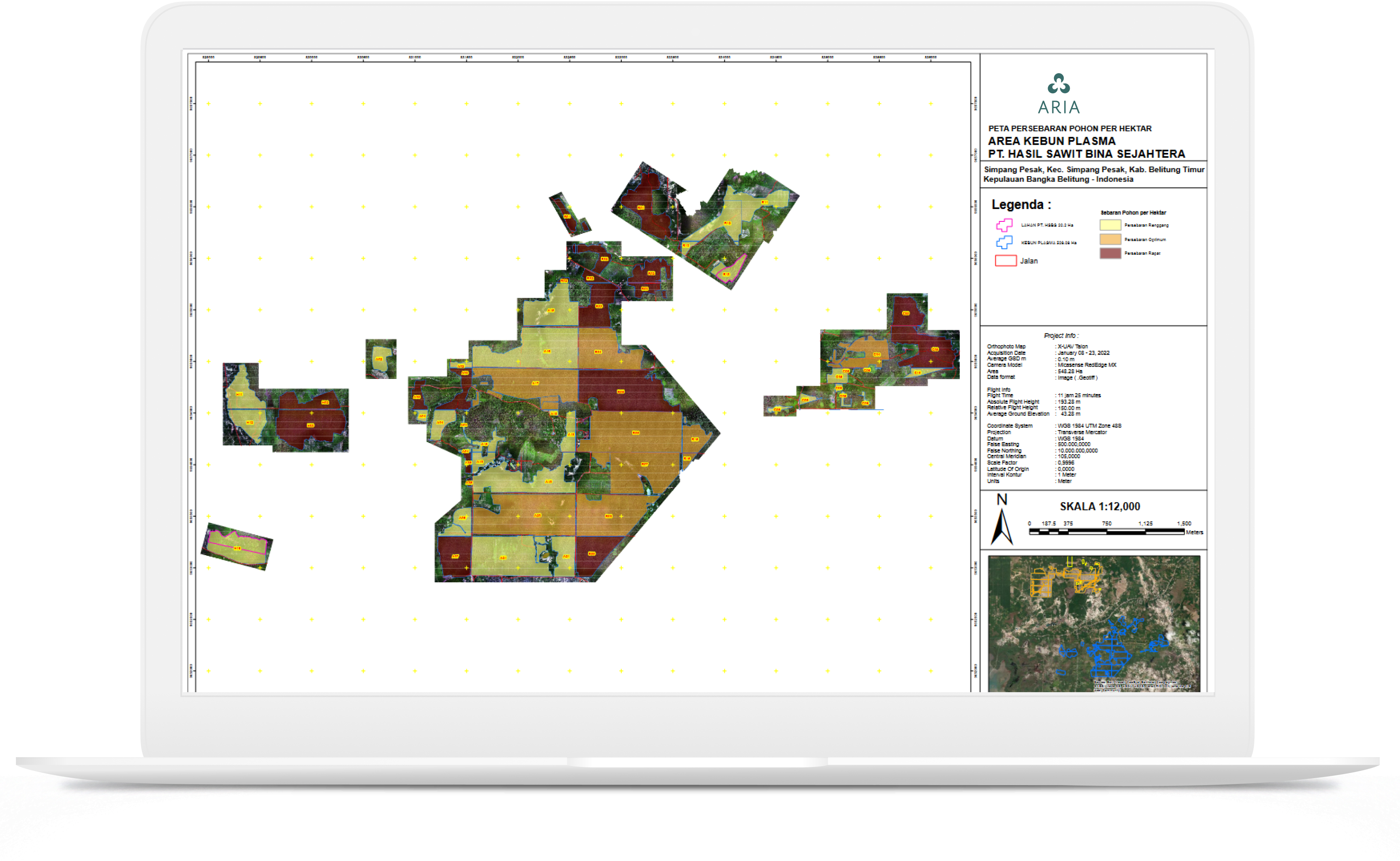 Tree Density Model Report