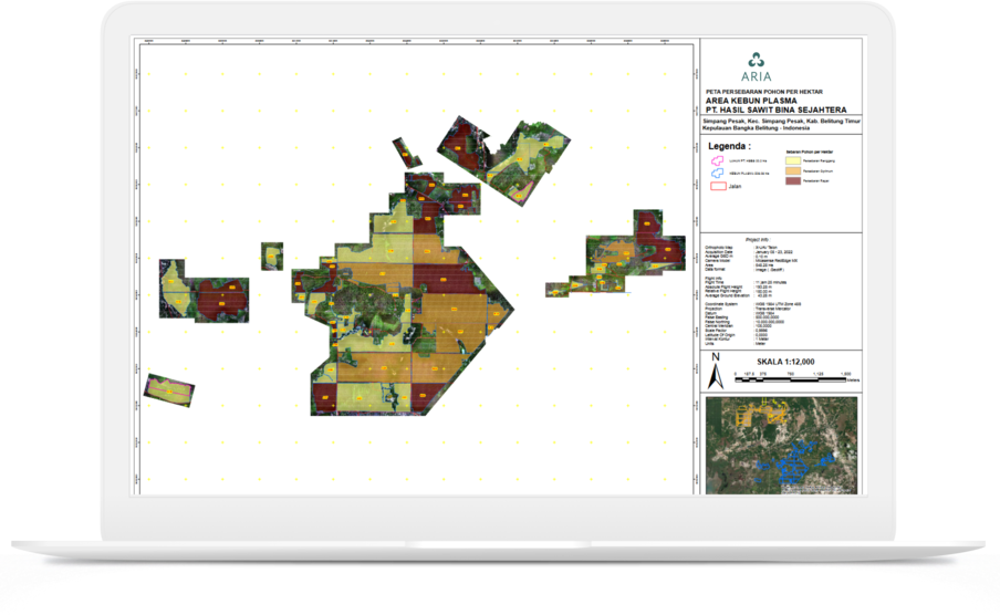 Tree Density Model Report
