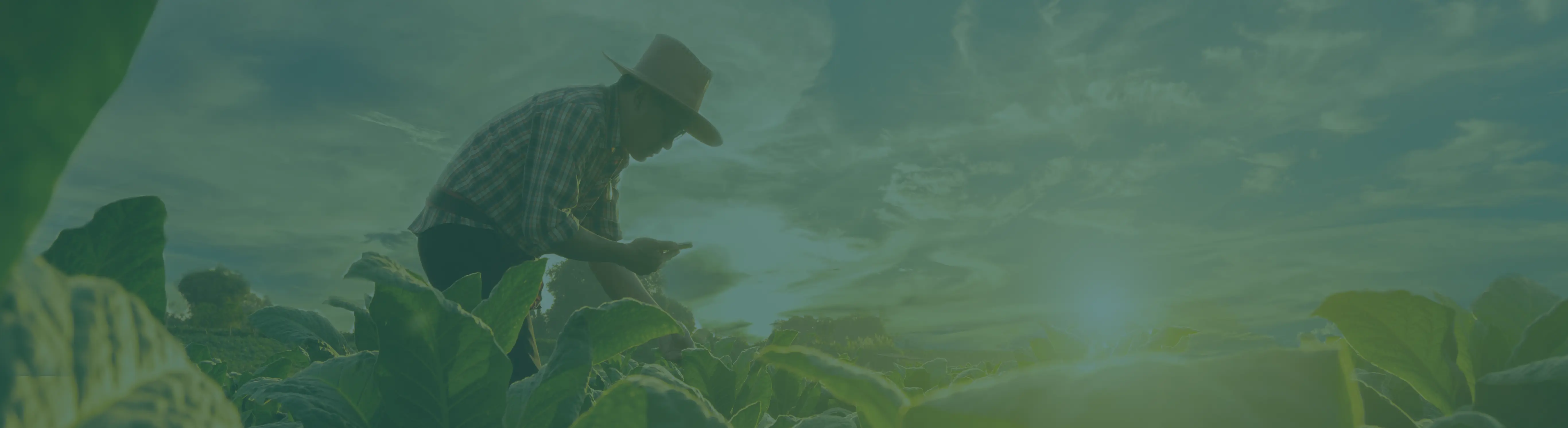 aria-industry-banner